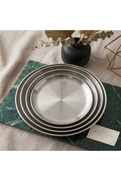 LUXURY Stylish and Modern Serving Dishes Steel Plate Set of 4 with Different ...