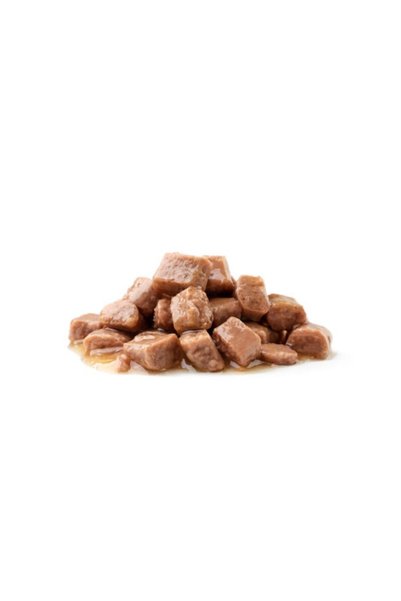 OEM Hrana Umeda Pisici WISE CAT – Tocana de Pasare si Legume 100g