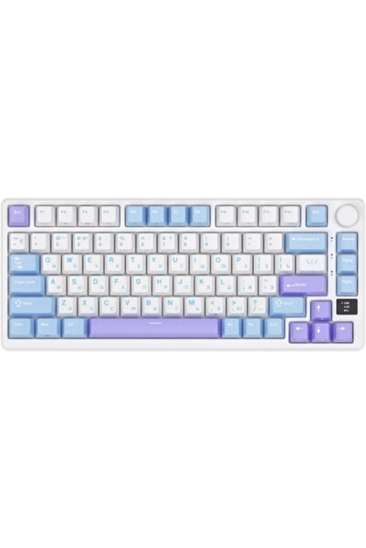 ROYAL KLUDGE Tastatura Gaming RK-M75, Brown switch, iluminare RGB, Wired, Wir...