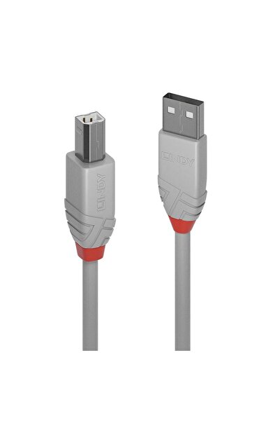 LİNDY Καλώδιο 1M USB 2.0 Τύπου Α σε Β Ant