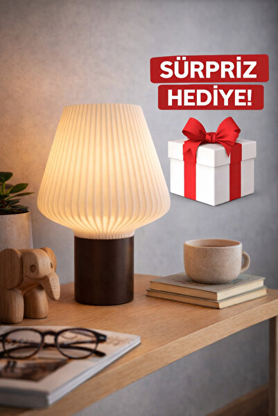 RAINTECH Lampshade Night Light Decorative Table Lamp Bedroom Living Room