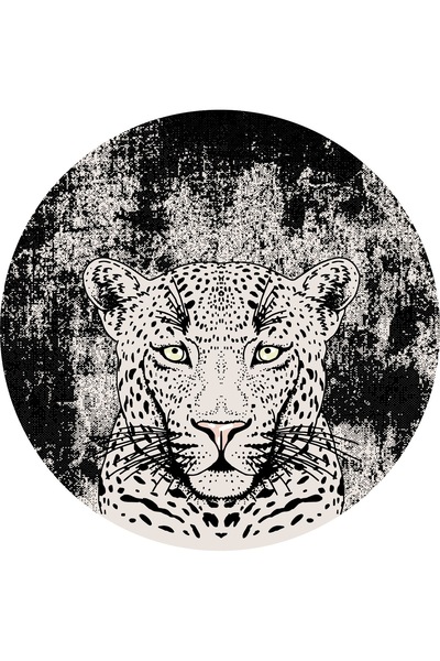 NOSTA Set of 6 Leopard Themed Coasters – with Protection Box