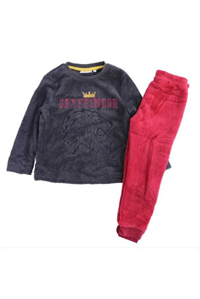Harry Potter Cocolino Long Sleeve Pajamas, Gryffindor
