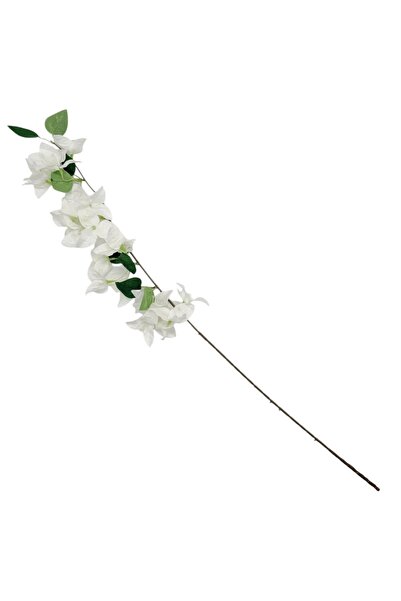 AFO Μπουγκανβίλια Ελάτη 81εκ. Αλμπάνια