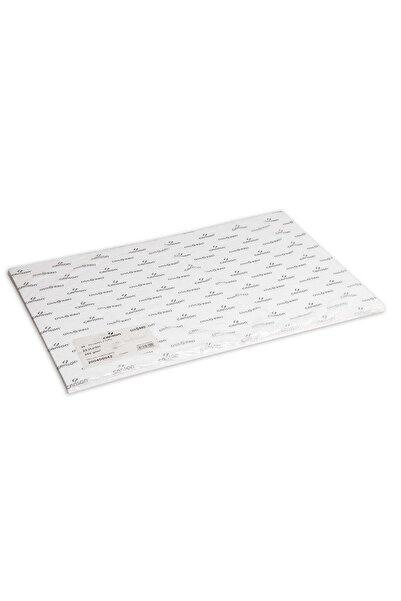 Canson Guarro Aquarelle Rough 350gr 70x100cm