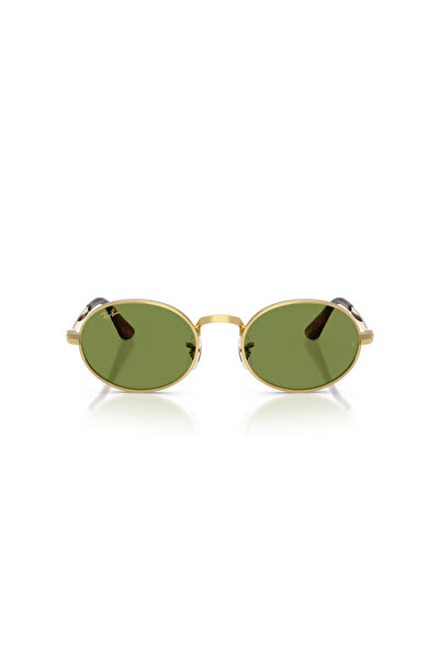 Ray-Ban 3931 001/4E 54 Güneş Gözlüğü
