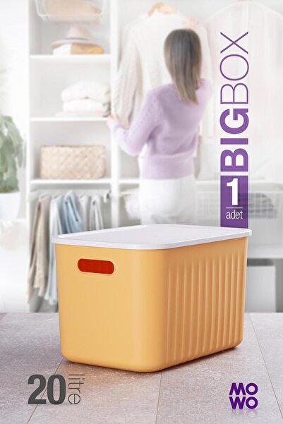 Mowo Home Bigbox 20 Lt 1-Piece Yellow Closet Organizer Storage Box with Lid B...