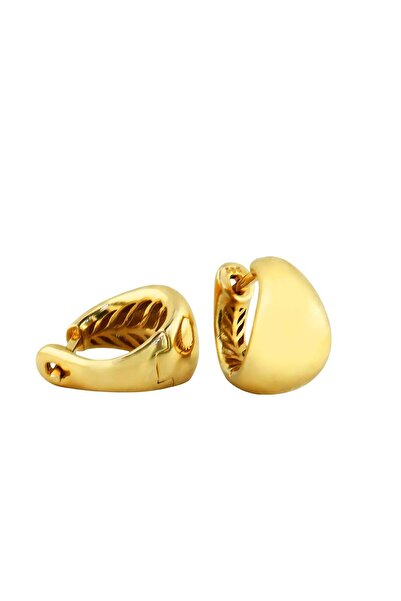 Altınkaynak 14 Ayar Altın Tasarım Küpe - 0203473