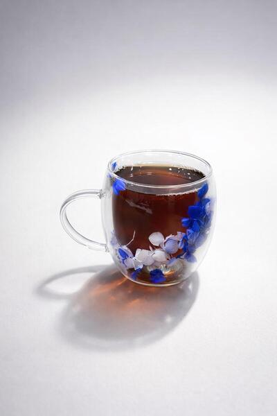 ZÜRİH COLLECTİON Kurutulmuş Canlı Çiçekli Çift Cidarlı Çay Kahve Kupası Mavi ...