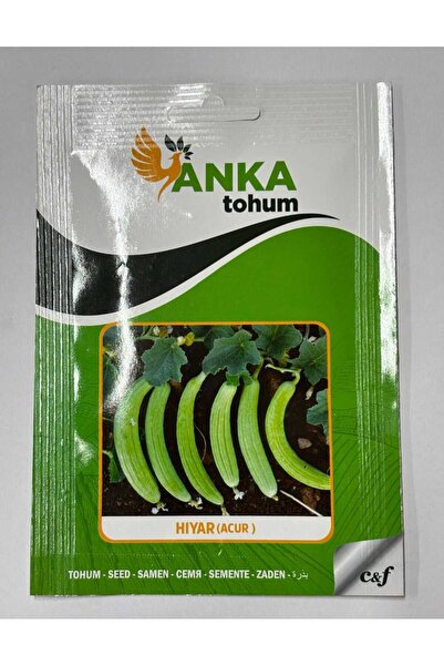 pe-mandallı ACUR TOHUMU