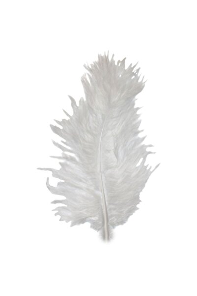 Titanum Pene de curcan, pufos, 9-15cm, alb, 50 bucăți