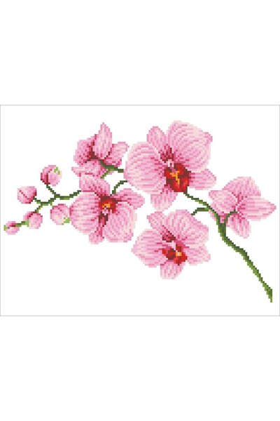 diamond dotz Diamond embroidery Orchid 49x39cm DD6034
