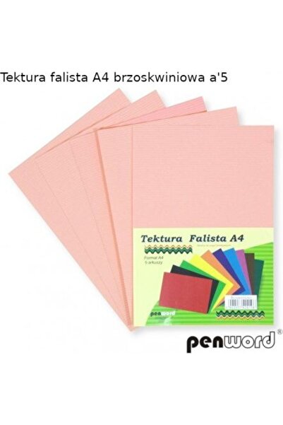 PENWORD Peach carton ondulat A4 5 bucăți