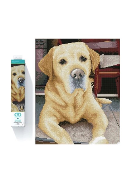 diamond dotz Broderie cu diamante Mozaic cu diamante Labrador King 48x58cm DQ...