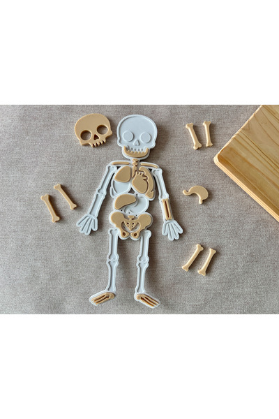 CESTOPİENO Human Body Puzzle 12X22 cm Bioplastic