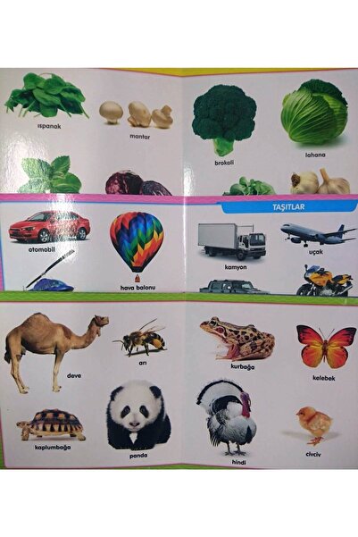 Karatay Çocuk Karton Kitap Seti-0-3 Yaş Ilk Sözlük/meyve Sebze Ve Eşyalar/hay...