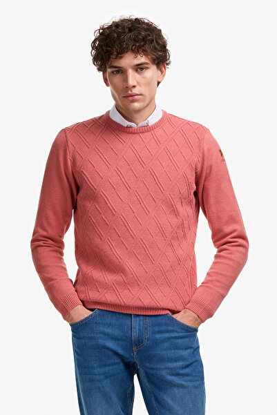 U.S. Polo Assn. Men's Regular Fit Crew Neck Dusty Rose Sweatshirt 50314974-Vr026