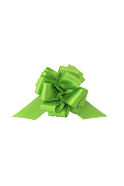 BRIZZOLARI Αυτοσχηματιζόμενος πράσινος σατέν φιόγκος