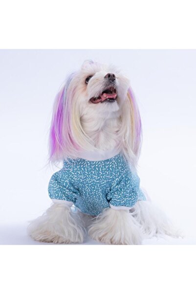 Pawstar Blue-Mavi Basic Kedi Köpek Sweat- Kedi Köpek Kıyafeti