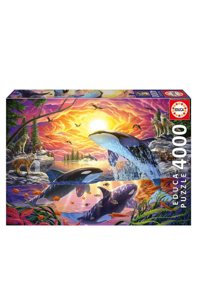 Educa Puzzle 4000 Parça Katil Balina ve Kurt 20259