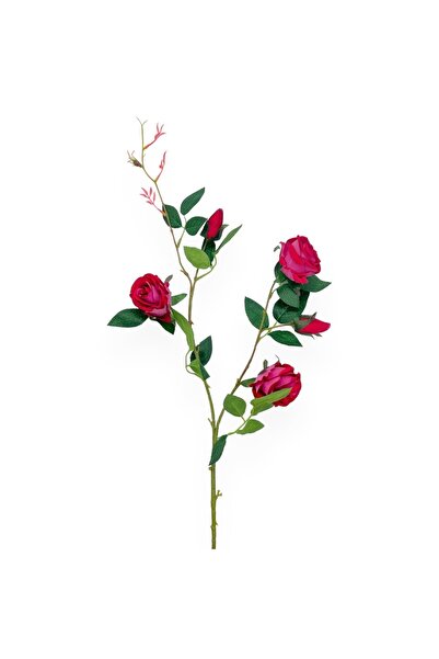 AFO Premium Red and Pink Rose Branch