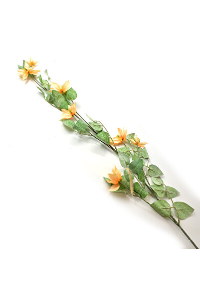 AFO Γιγάντιο κλαδί κλεμάτης ροδακινί