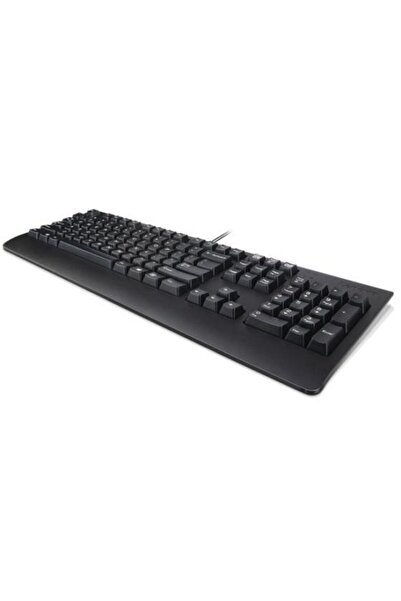 LENOVO Keyboard USB TRDTNL KB BK ITA Preferred Pro II, Standard, Wired, Black