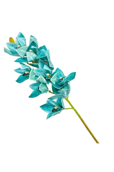 AFO Συμβίντιο Φιρ Ρεάλταουτς Τυρκουάζ