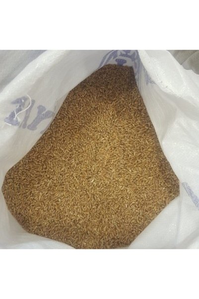 BFHOME Yemlik Buğday Tane Doğal 500 gr tüm hayvanlara uygun