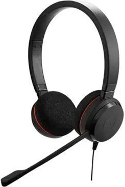 Jabra Evolve 20 UC stereo - Căști - on-ear - cu fir - USB