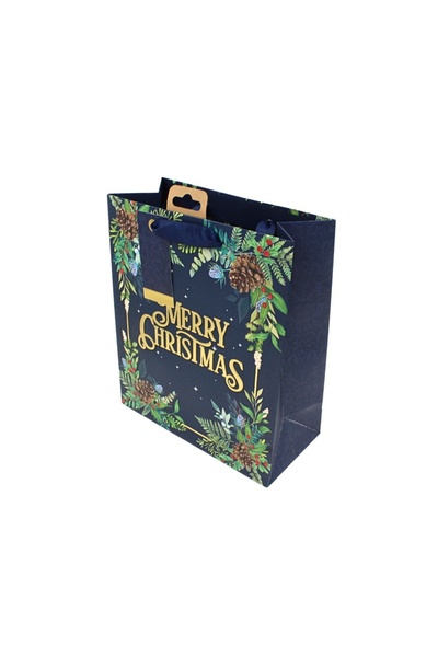 Eurowrap Χάρτινη τσάντα δώρου, συλλογή Clairefontaine από την Eurowrap, 33x26...