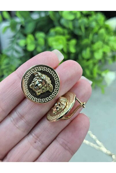 OEM Σκουλαρίκια με ιπποφόρμια και κούμπωμα