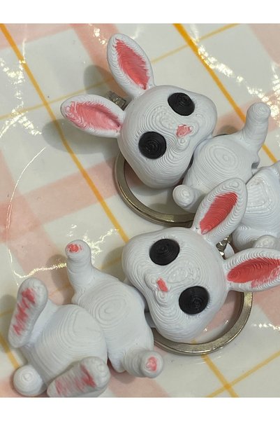 GIFTPALACE Cute Pink Ears Rabbit 3D Keychain