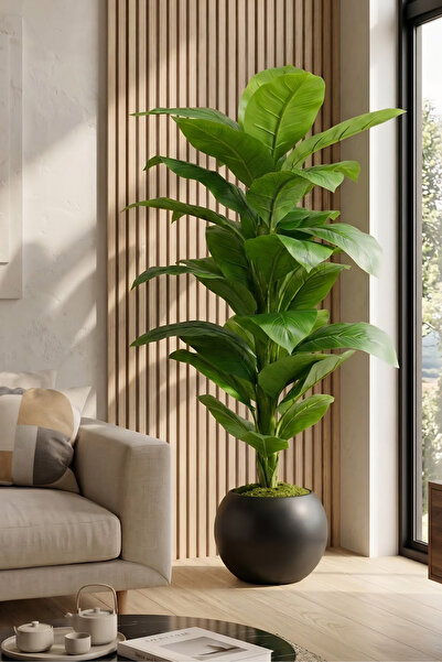 Cihan Çiçekçilik 160 cm Yapay Açık Yeşil Difenbahya Ağacı - 30x30 Küre Saksılı
