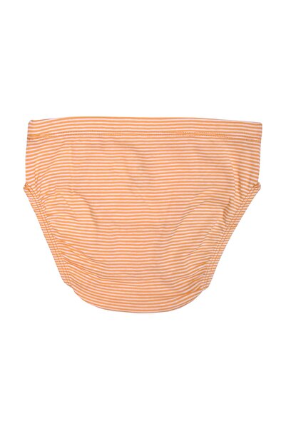 OrganicKid Jungle Erkek Çocuk Slip 3'lü Set
