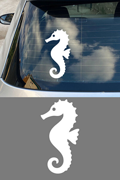 MIGNATIS Seahorse Figured Car Sticker - Minimal Seahorse Sticker – Aesthetic ...