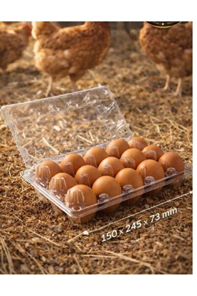 Kalite Meraklıları (30 Adet) 15’li Plastik Yumurta Viyolü – Sağlam & Uzun Ömü...
