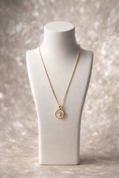Theory Jewelry Delphi Necklace |   Dolphin Necklace |   Minimal Women's Necklace |   Steel Necklace |   Gold Color Necklace |   Stylish Necklace