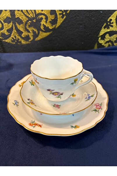 Hutschenreuther Bavaria Çay Fincanı & Pasta Tabağı | Altın Yaldızlı Antika Po...