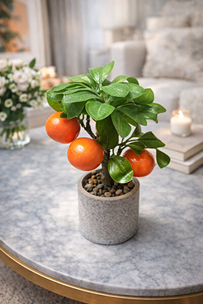 aymumi home Yapay Mandalina Ağacı Saksılı 26 cm Dekoratif Bitki – Gerçek Görü...