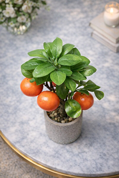 aymumi home Yapay Mandalina Ağacı Saksılı 26 cm Dekoratif Bitki – Gerçek Görünümlü Mini Narenciye Ağacı