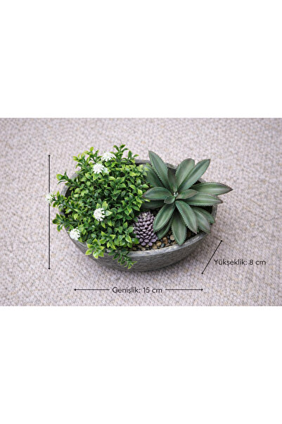 aymumi home Yapay Sukulent Aranjman Kase Saksılı 15x8 cm Dekoratif Bitki – Mo...