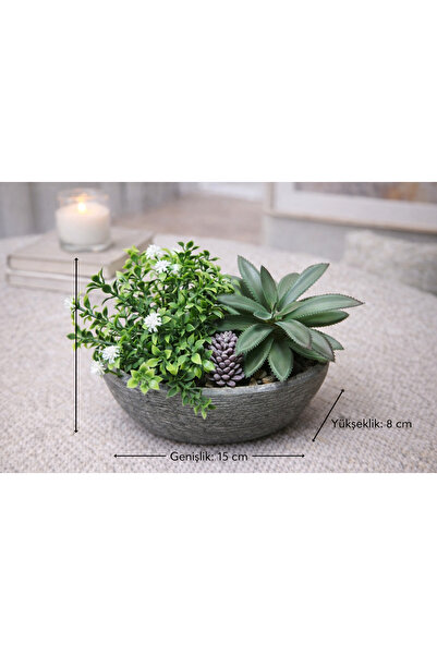 aymumi home Yapay Sukulent Aranjman Kase Saksılı 15x8 cm Dekoratif Bitki – Modern Masa Üstü Çiçek