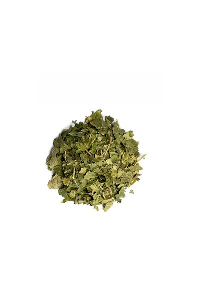 nk organik Mulberry Leaf White Natural 40Gr