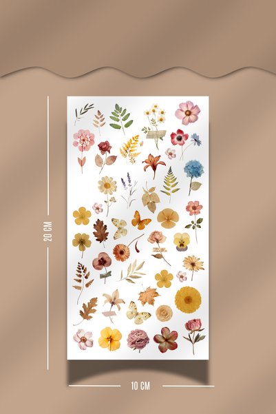 Hume Craft مجموعة ملصقات بتصميم الزهور المجففة، 3 قطع، مقاس 10x20 سم، مناسبة للمجلات والدفاتر التزيينية