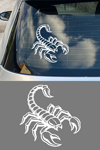 MIGNATIS Akrep Oto Sticker – Detaylı Akrep Figürlü Araba Cam Kaput Motor Stic...
