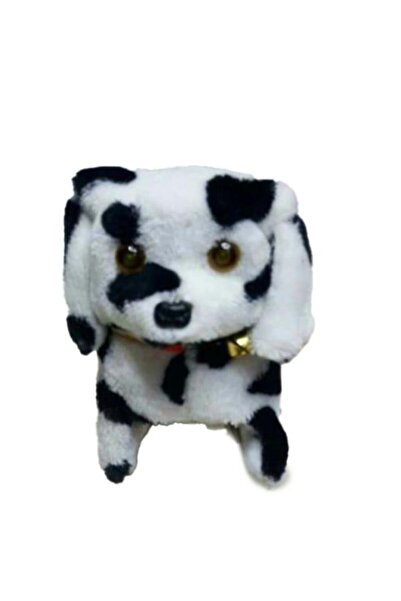 Rally Doll of the Spotted Dog