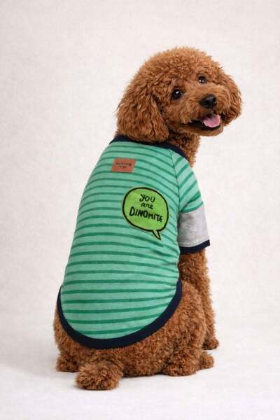 Alphadog Croc Küçük Irk Köpek T-shirtü