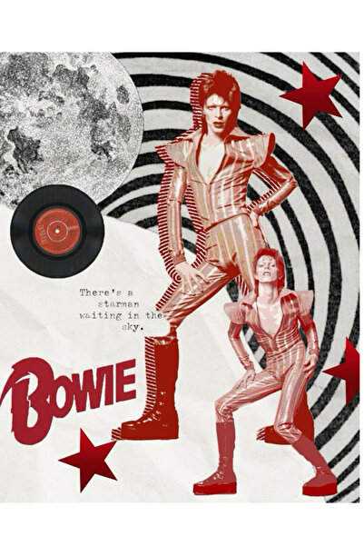 Taranist Poster - David Bowie Ziggy Stardustı - Vintage Rock Wall Art