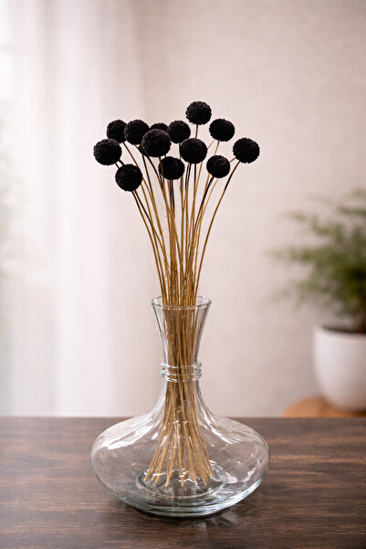 Black Natural Dried Craspedia (Billy Button) Decorative Dried Flower Bundle 18-20 pcs 40-50 Cm